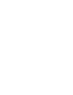 Bu-Ali Sina University